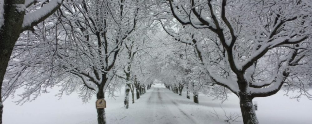 February Snow at Quail’s Covey Bed & Breakfast